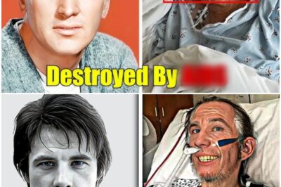 20 Famous Gay People Who Died of the Disease of the Century, Long-Hidden Details Gradually Revealed