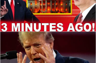 China Just Pulled the Trigger After Trump Threatens China Additional 50% Tariffs, US Market Chaos