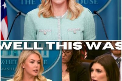 The Reporter Set Up A Trap For Press Secretary Leavitt, Her Reaction Is Priceless…