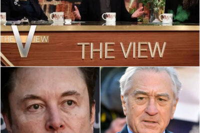 BREAKING: Elon Musk publicly clashes with Robert De Niro after he collaborates with The Views to insult Elon Musk live on air: “Go away, you weird awakened kid.”