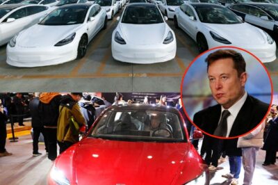 Musk Pulls Tesla from China: A Single Decision Wipes Out $30 Billion