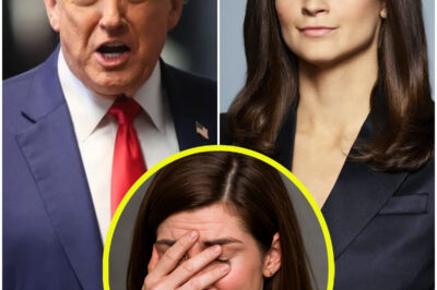 Whole Room Erupts In Laughter When Trump Said This To Kaitlan Collins