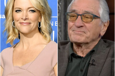 Robert De Niro’s 8-Word Clapback Leaves Megyn Kelly Speechless After She Calls Him ‘Extremely Stupid’ on Live TV!