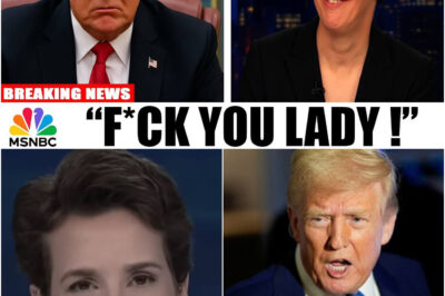 Trump GOES NUTS After His ‘Tariffs’ Are HUMILIATED By Penguins On LIVE The Rachel Maddow Show!