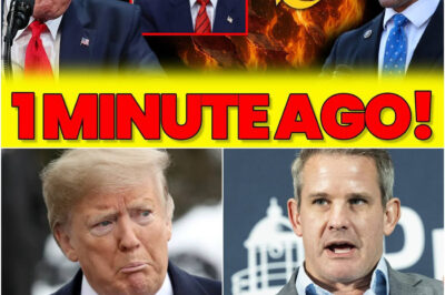 Trump LOST IT After Adam Kinzinger calls Him WEAK – TANTRUMS Over Trump Tariffs