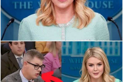 This Insulting Reporter Was Fired After He Did This To Karoline