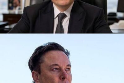 Breaking News: Elon Musk Shocked by Surge in Tesla Hate and Vandalism – “I’ve Never Done Anything Harmful”