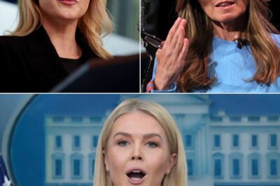 Karoline Leavitt’s fiery clash with Nicolle Wallace sparks outrage—what ignited this explosive showdown will leave you breathless! The jaw-dropping truth behind the heated confrontation is finally revealed—here’s why fans can’t stop talking!