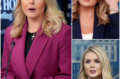 Karoline Leavitt Slams Reporters lies