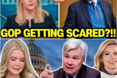 Trump’s Press Sec HUMILIATES Herself As Trump ‘Purposely’ CRASHES The Stock Market!