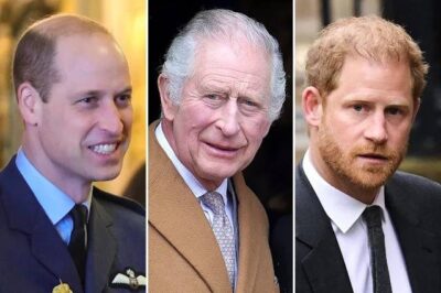 Breaking News: Another Royal Family Member Diagnosed with Cancer, and That Person Is…