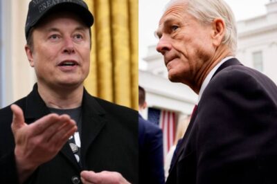 Navarro Calls Musk a Car Assembler — From the Comfort of His Couch