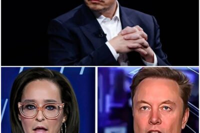 Elon Musk GOES OFF On Jessica Tarlov In Heated Fox News Interview
