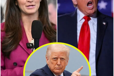 Trump swipes at CNN’s Kaitlan Collins in brutal exchange alongside his allies in the Oval Office