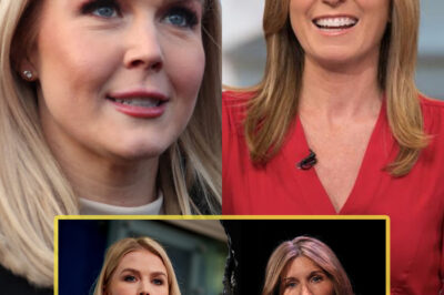 BREAKING: Karoline Leavitt’s Explosive Reaction to Nicolle Wallace Leaves Fans Stunned—The Shocking Reason Behind Her Violent Outburst Will Leave You Speechless!….