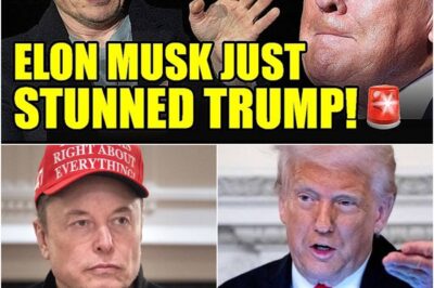 🚨 Elon Musk Just Backstabbed Trump on Live Broadcast? The Breakup That’s Shaking America to Its Core