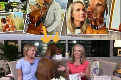 Fox News’ The Five co-host Dana Perino breaks silence as she shares grief over 9-year-old Hungarian Vizsla Jasper
