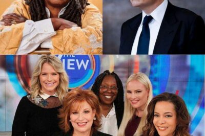 Elon Musk called for a boycott of The View, calling it “a meeting place for ignorant women.” Immediately after, the entire cast responded fiercely