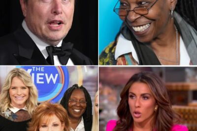 Elon Musk Called for a Boycott of ‘The View,’ Sparking Immediate Backlash from the Entire Cast