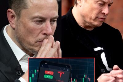 Tesla Stock Plunges, Erasing $460 Billion as Musk’s Political Gambit Sparks Investor Exodus (N)