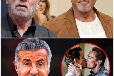 At 78, Sylvester Stallone Finally Breaks The Silence On Arnold Schwarzenegger (N)