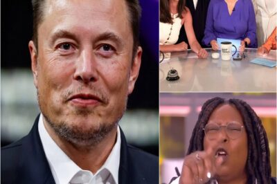Elon Musk called for a boycott of The View, calling it “a meeting place for ignorant women.” Immediately after, the entire cast responded fiercely…