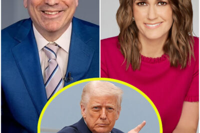 Fox hosts Charlie Gasparino and Jessica Tarlov slammed Donald Trump for this reason…