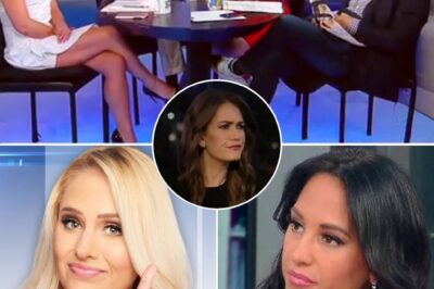 UNBELIEVABLE: Fox News’ Emily Compagno Caught in EXPLOSIVE Scandal—The Shocking Truth Behind ‘The Five’ Star’s Sudden Controversy REVEALED, Leaving Fans Speechless and Questioning Everything They Thought They Knew About the Popular Host!