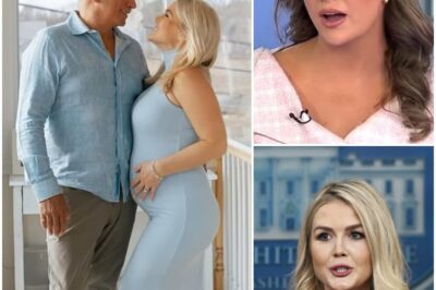 Liberal ‘mean girl’ cruelly trolls press secretary Karoline Leavitt and her older husband