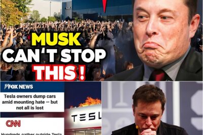Top 5 States Falling Fast as Elon Musk’s Empire Crumbles – Tesla and Twitter X Employees Panic