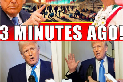 Trump Caught Off Guard as Mexico Hits Back — Canadians Can’t Believe It! Electric Vehicles, Tariffs