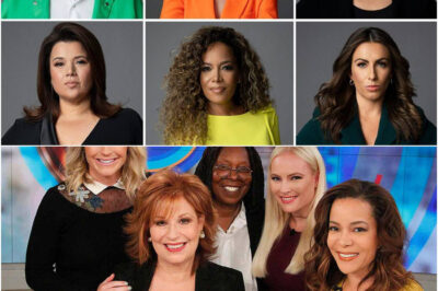 ABC Warns ‘The View’ Hosts Amid Internal Tensions
