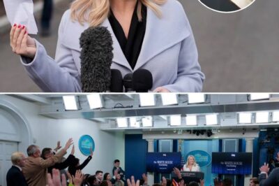 Trump press secretary doesn’t engage with reporters using pronouns in emails, says they deny reality