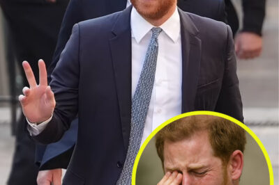 Prince Harry argues he received ‘inferior treatment’ after ‘feeling forced to step back as full-time working royal’ in High Court showdown