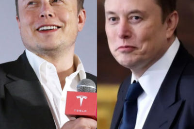Australia Reportedly Targets Tesla and U.S. Auto Industry — Elon Musk Responds with Cryptic 9-Word Message