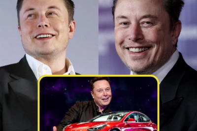 OFFICIAL: Cybertruck Banned Worldwide? Elon Musk Reacts with Four Words