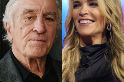 Robert De Niro Delivers Blunt Nine-Word Comeback After Megyn Kelly Calls Him ‘Extremely Stupid’ in Escalating Hollywood Feud