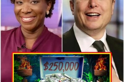 Elon Musk Confirms He Will Spend a Massive Amount to Acquire MSNBC, Vows to Fire Joy Reid to “End the Toxicity”