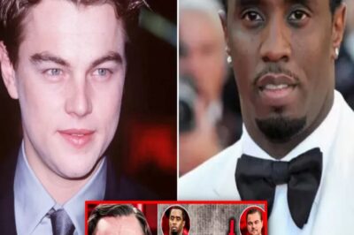 Leonardo DiCaprio ADMITS