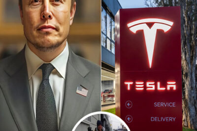 Elon Musk Donates $112 Million in Tesla Stock to Help the Homeless: A Generous Act with a Deeper Purpose