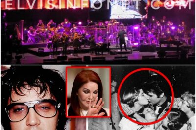 The Night Elvis Presley Shocked Everyone Onstage…You Won’t Believe Priscilla’s Embarrassing Moment!