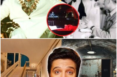SECRETS REVEALED: The Shocking Truth About Elvis Presley’s Mansion Will Leave You Speechless!