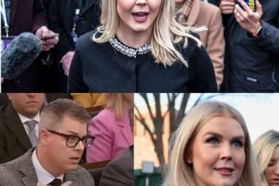 EXCLUSIVE, THIS JUST HAPPENED: Shocking Fallout—Reporter FIRED After INSULTING Karoline Leavitt on Live TV! In a dramatic turn of events, a reporter was fired after making a humiliating insult toward Karoline Leavitt during a live interview…..