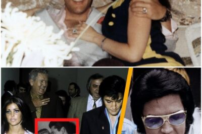 SHOCKING REVEAL: Did Elvis Use “THREATS” of Other Women to Keep Priscilla Hooked? The Untold Truth Behind Their Controversial Relationship Will Leave You Speechless!
