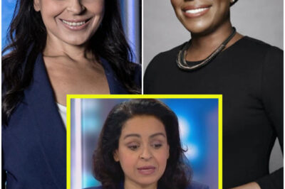 Sky News host Rita Panahi has slammed former MSNBC host Joy Reid as historically illiterate.