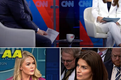 BREAKING: Gen Z Trump Press Secretary Caroline Leavitt SHUTS DOWN CNN’s Kaitlan Collins in SCORCHING Clash Over Renaming Gulf of Mexico — Declares It the ‘Gulf of America’ on Live TV, and the Internet ERUPTS
