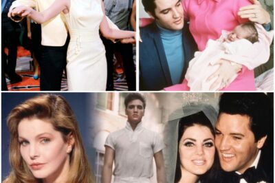 The Shocking Truth Behind Priscilla Presley’s Relationship with Elvis: What Really Stopped Them from Being Intimate? (N)