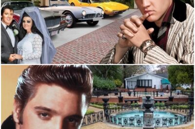 ELVIS PRESLEY’S INSANE SPENDING EXPOSED: The Secret Obsessions, Bizarre Million-Dollar Purchases, and Hidden Addictions That Drained His Fortune—What The King Bought in Private Will Leave You Speechless and Completely Change How You See Him Forever!