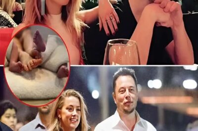 H0T NEWS: Shocking new claims suggest Elon Musk could be the father of Amber Heard’s twin pregnancy