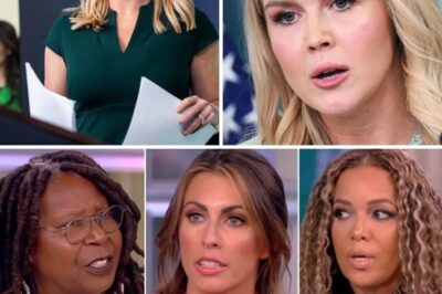 Leavitt vs. The View: A Media Feud Exposes Deep Divides